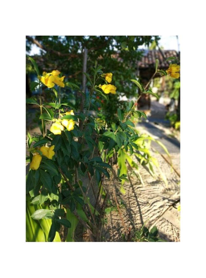 Prana Eco Villa Atins Ngoại thất bức ảnh