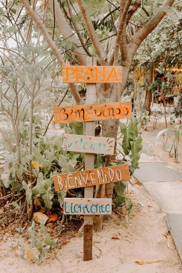 Prana Eco Villa Atins Ngoại thất bức ảnh